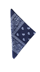 Bei PICK UP in Düsseldorf findest Du PICK UP 78, Bandana, blau  und viel mehr von Pick Up