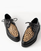 Bei PICK UP in Düsseldorf findest Du BBC, Creeper Polido, Meteor, Black/ Baby Leopard  und viel mehr von BBC