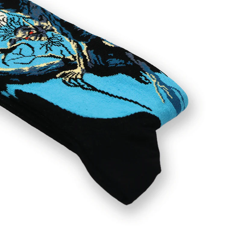 Sock Affairs, Iron Maiden, Fear of the Dark 1992 – Rückansicht | PICK UP Düsseldorf