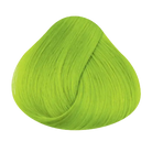 MONDEL DIRECTIONS Fluorescent Lime – Rückansicht | PICK UP Düsseldorf