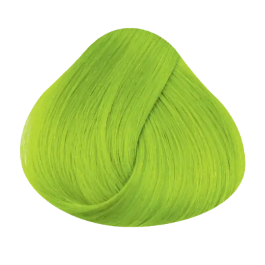 MONDEL DIRECTIONS Fluorescent Lime – Rückansicht | PICK UP Düsseldorf