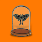 Moth Curio Enamel Pin von Extreme Largeness mit Nachtfalter