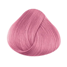 DIRECTIONS Pastel Rose – Seitenansicht | PICK UP Düsseldorf
