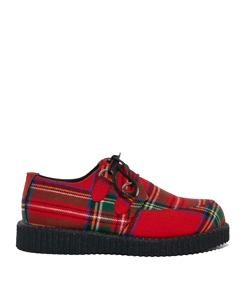 Checkered creepers 2025