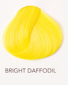 Stylex DIRECTIONS Bright Daffodil  Pick Up | Düsseldorf