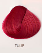 Stylex DIRECTIONS Tulip  Pick Up | Düsseldorf